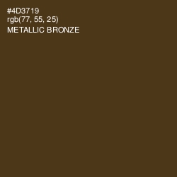 #4D3719 - Metallic Bronze Color Image